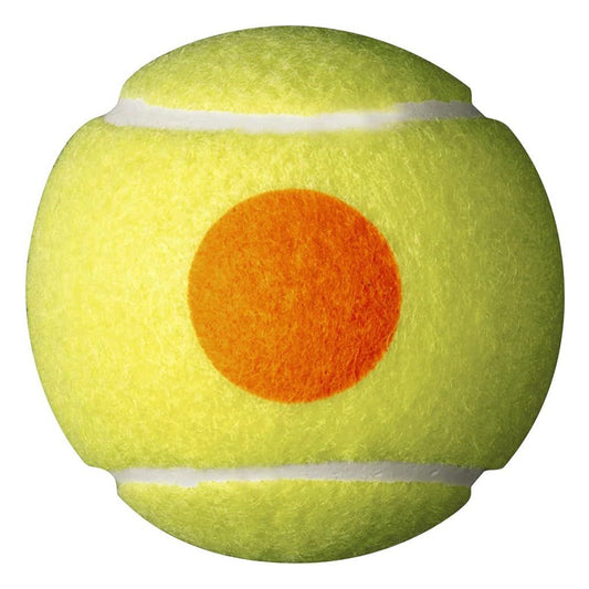 Starter Tennis Ball set of 48 - One Size
