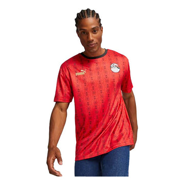 EFA FtblCulture Jersey PUMA Red