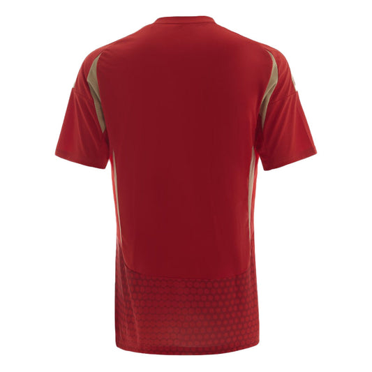 AL AHLY HOME JERSEY