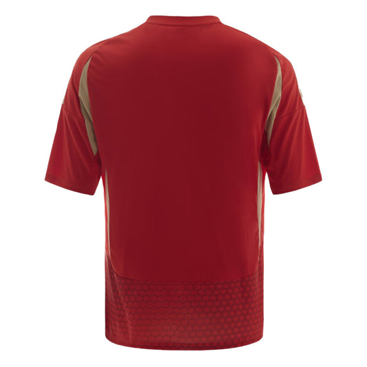 AL AHLY HOME JERSEY