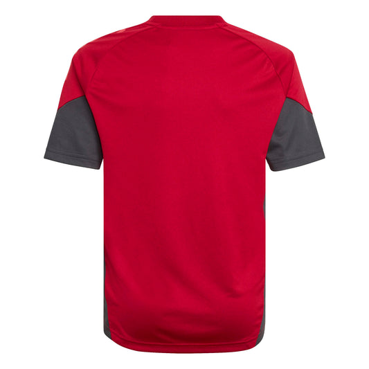 Liverpool FC Tiro 25 Competition Training Jersey
