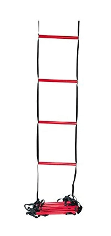 LADDER